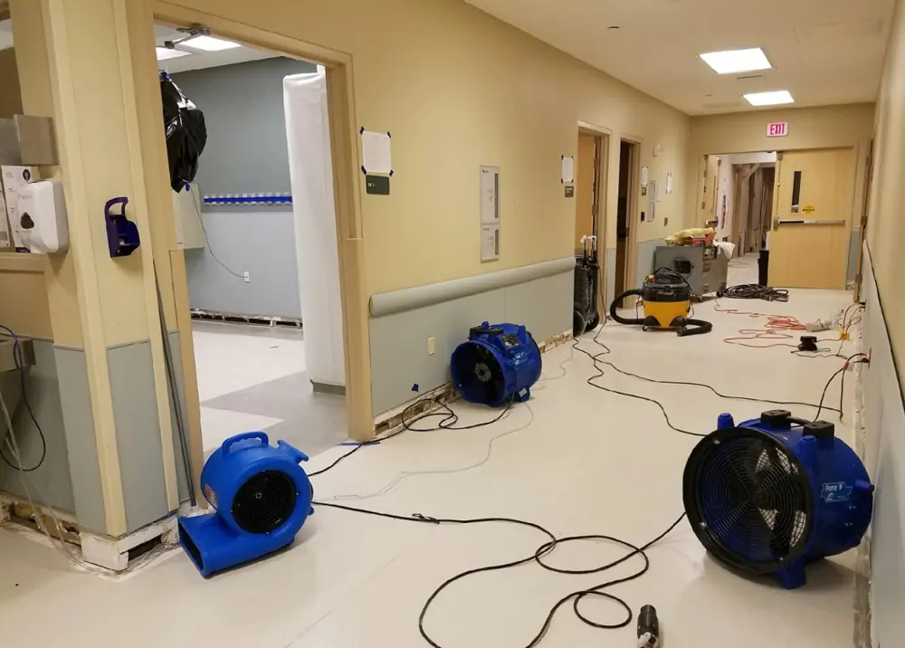 Water damage restoration crew working in Zellwood, FL