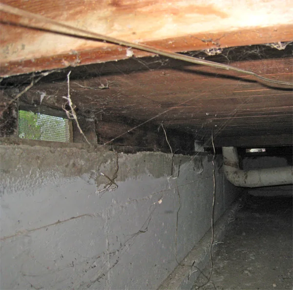 Crawlspace Water Removal in an Apopka home