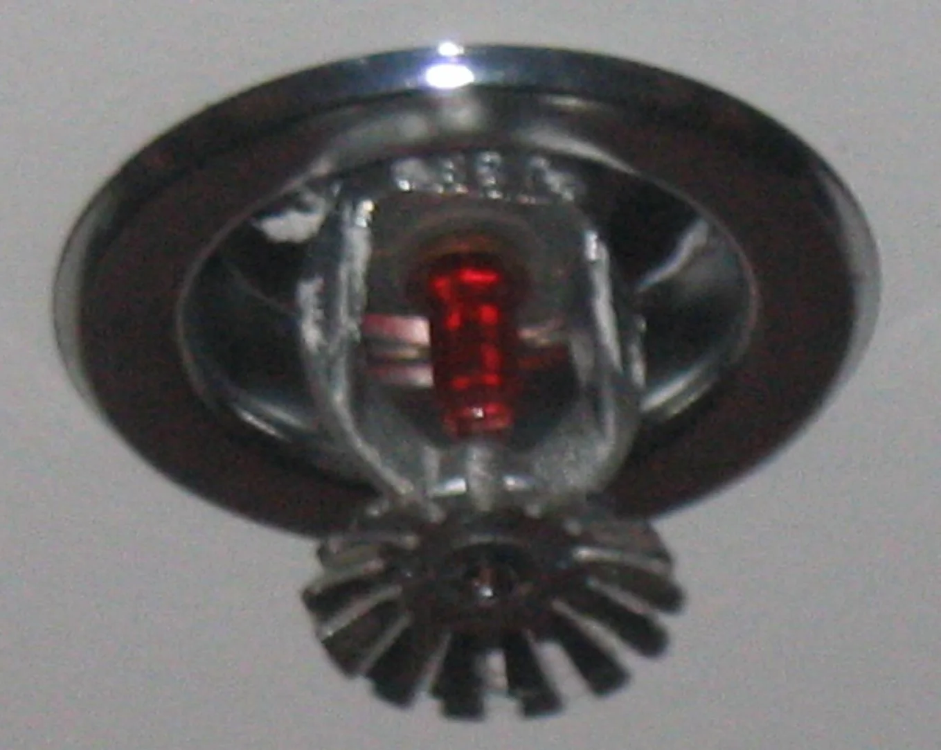Fire Sprinkler Discharge in an Apopka home