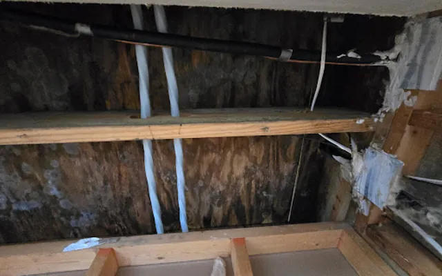 Roof Leak Water Damage in Apopka, FL