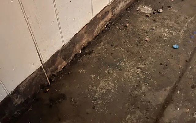 Sewage and Black Water Cleanup in Apopka, FL
