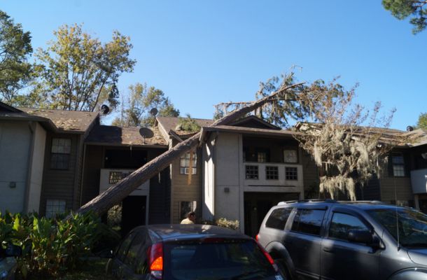 Storm Damage Restoration Apopka, Florida